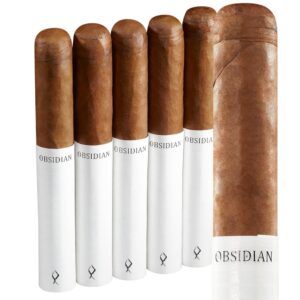 Obsidian White Noise Sixty (Gordo) (6.0x60) Pack of 5